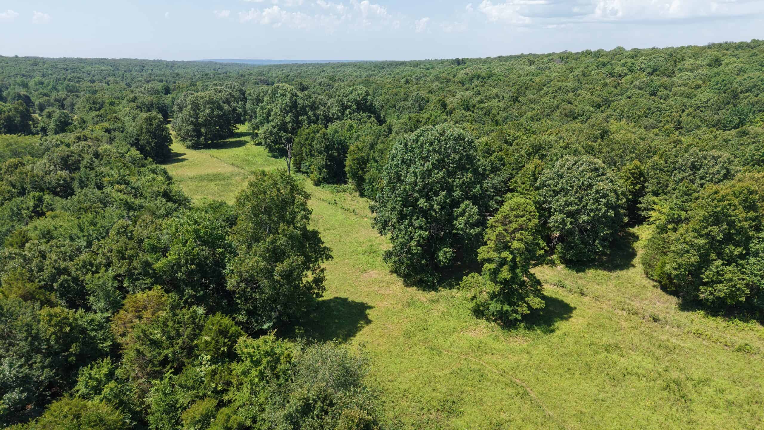 LIVESTOCK FARM AND HUNTING PROPERTY FOR SALE IN ARKANSAS