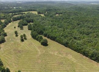 UNRESTRICTED LAND FOR SALE IN NORTH CENTRAL ARKANSAS