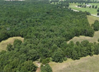 UNRESTRICTED LAND FOR SALE IN NORTH CENTRAL ARKANSAS