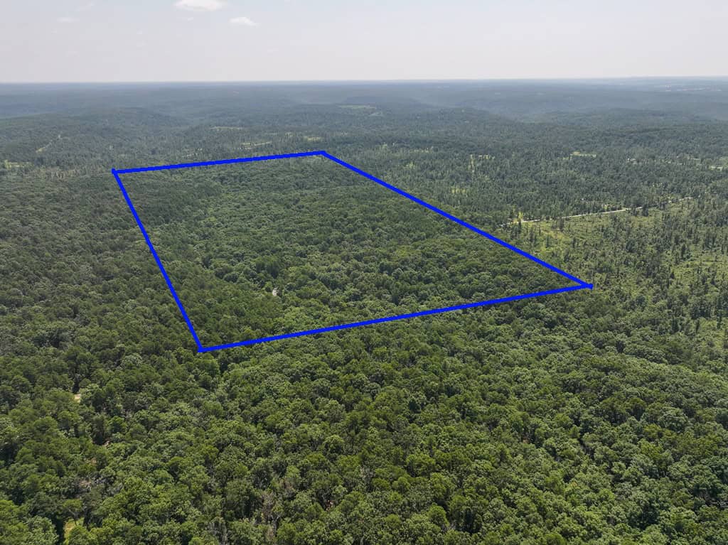 Hunting Land For Sale Texas County MO