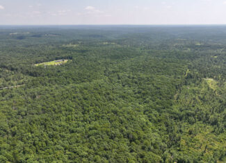 Hunting Land For Sale Texas County MO