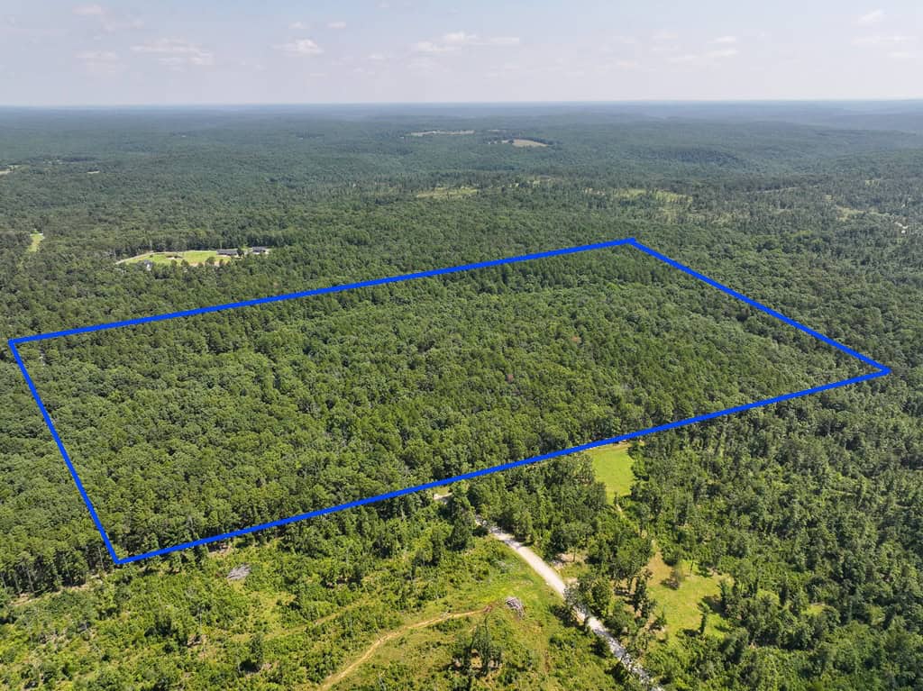 Hunting Land For Sale Texas County MO