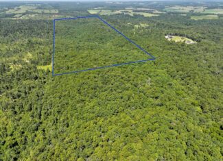 Hunting Land For Sale Texas County MO