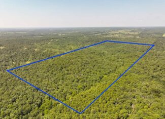 Hunting Land For Sale Texas County MO