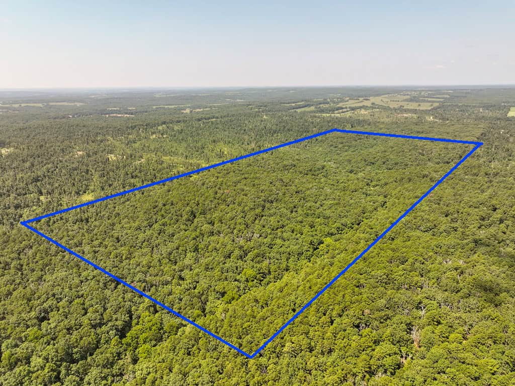 Hunting Land For Sale Texas County MO