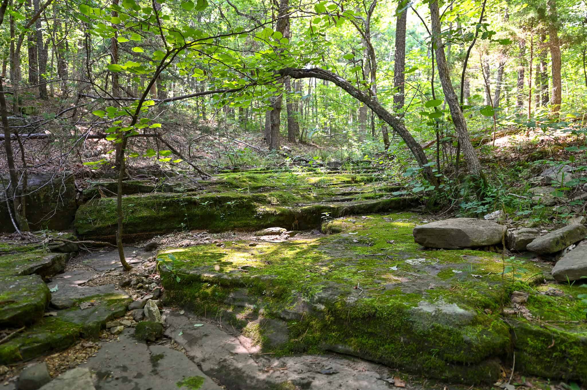 Hunting Land For Sale Texas County MO