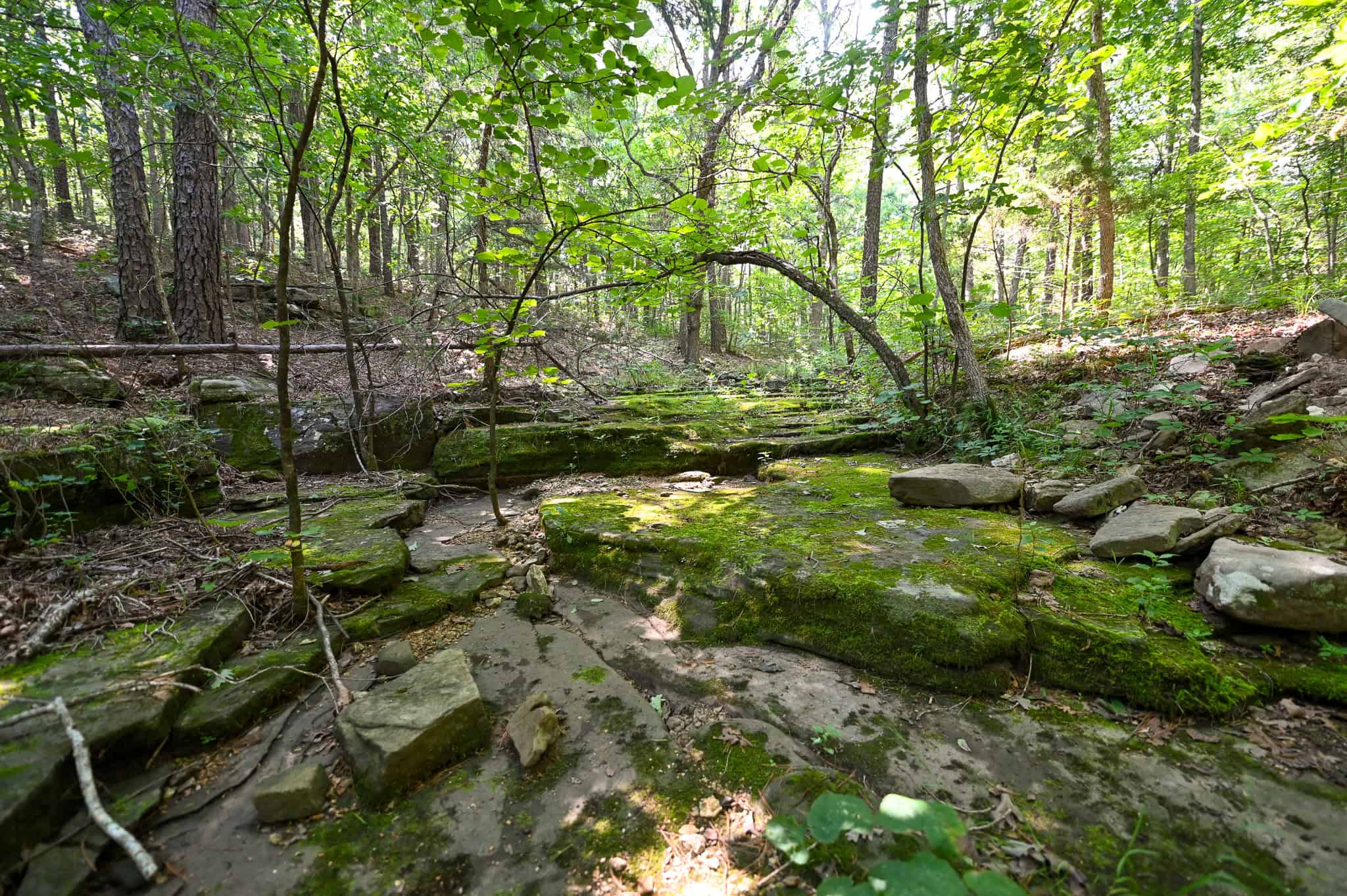Hunting Land For Sale Texas County MO