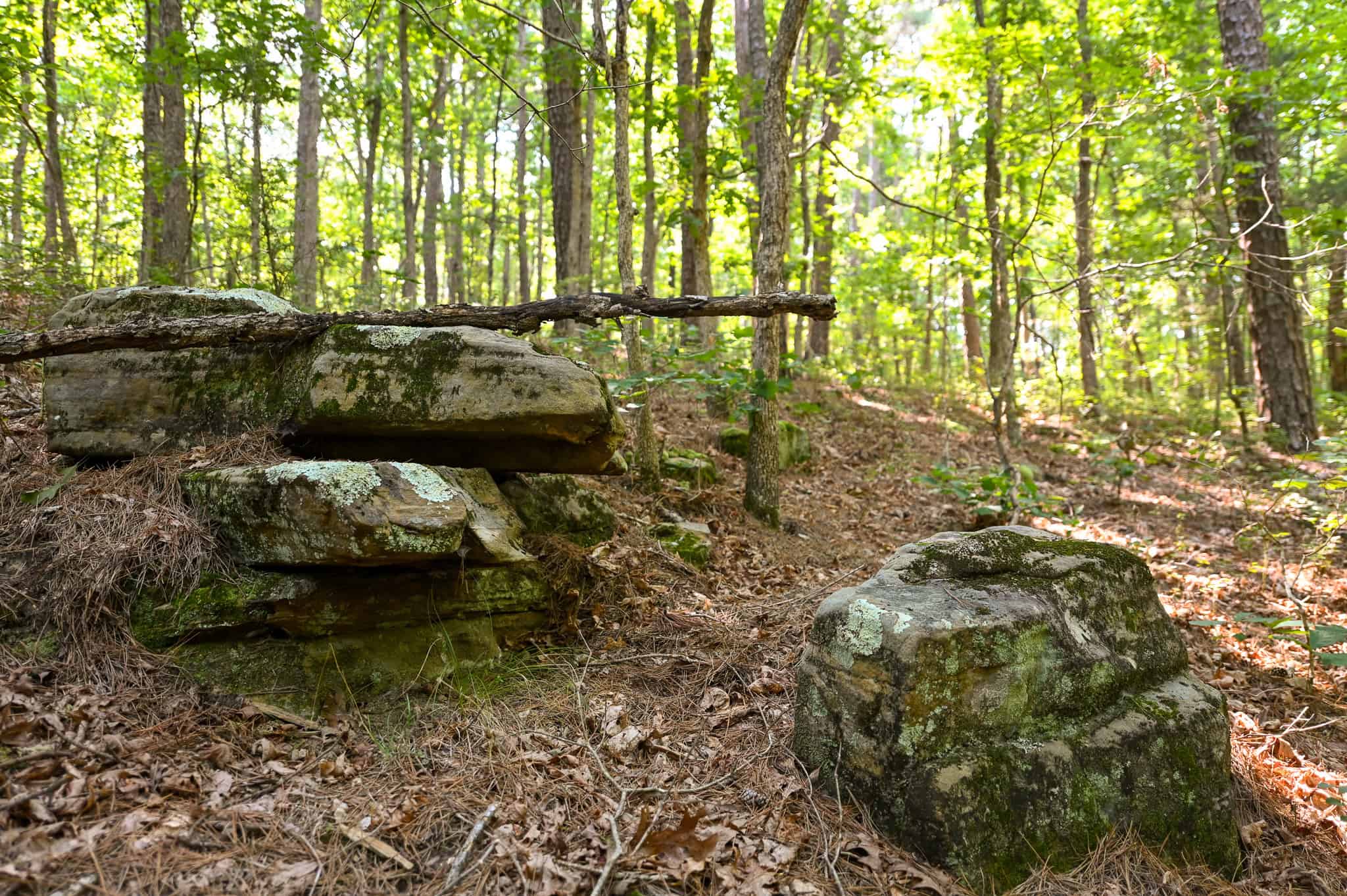 Hunting Land For Sale Texas County MO