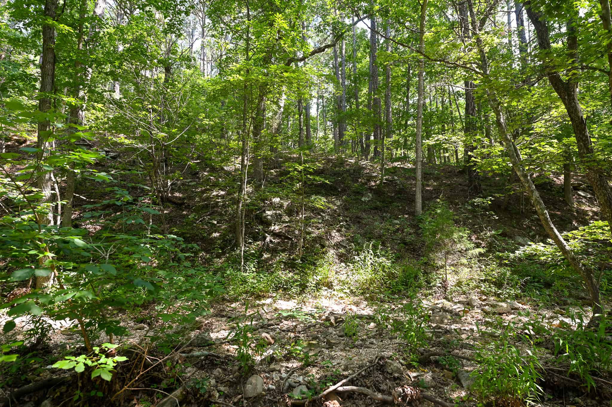 Hunting Land For Sale Texas County MO