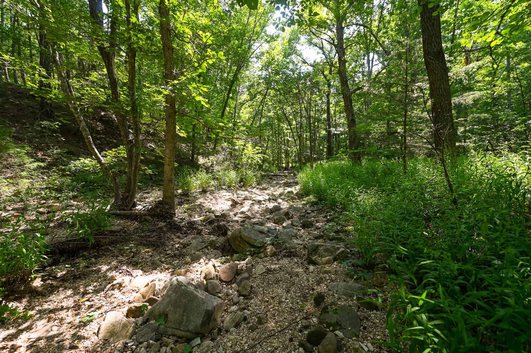 Hunting Land For Sale Texas County MO