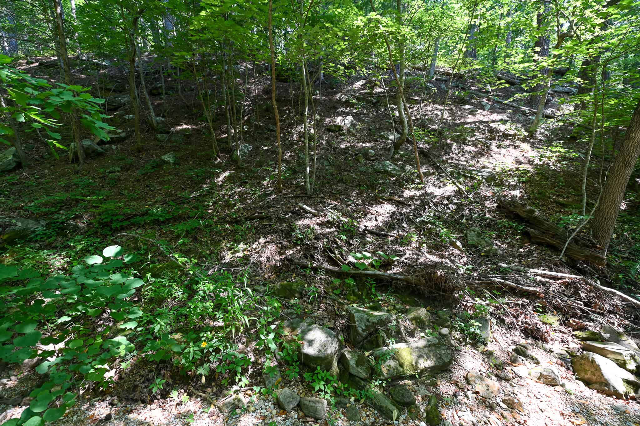 Hunting Land For Sale Texas County MO