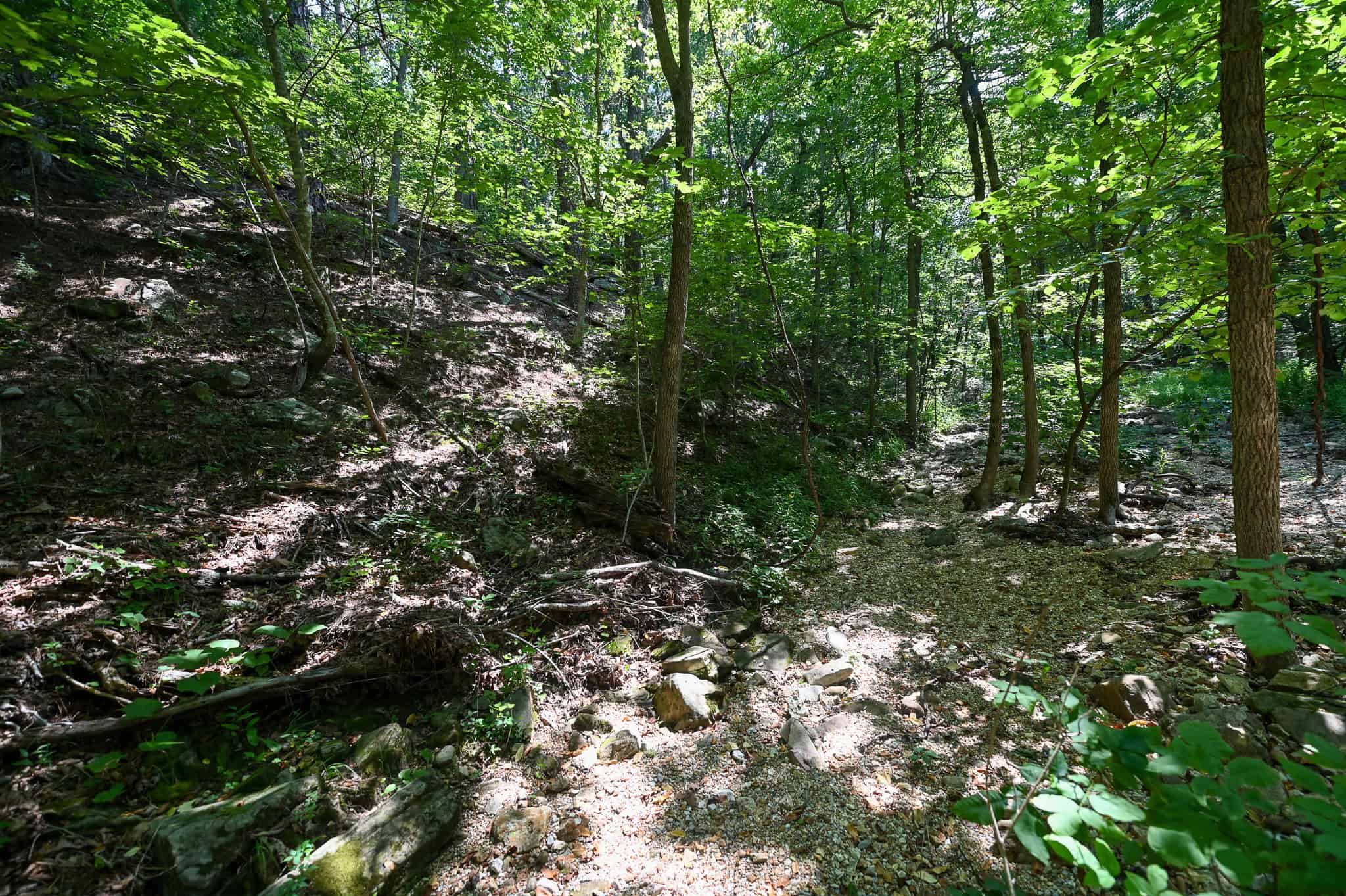 Hunting Land For Sale Texas County MO