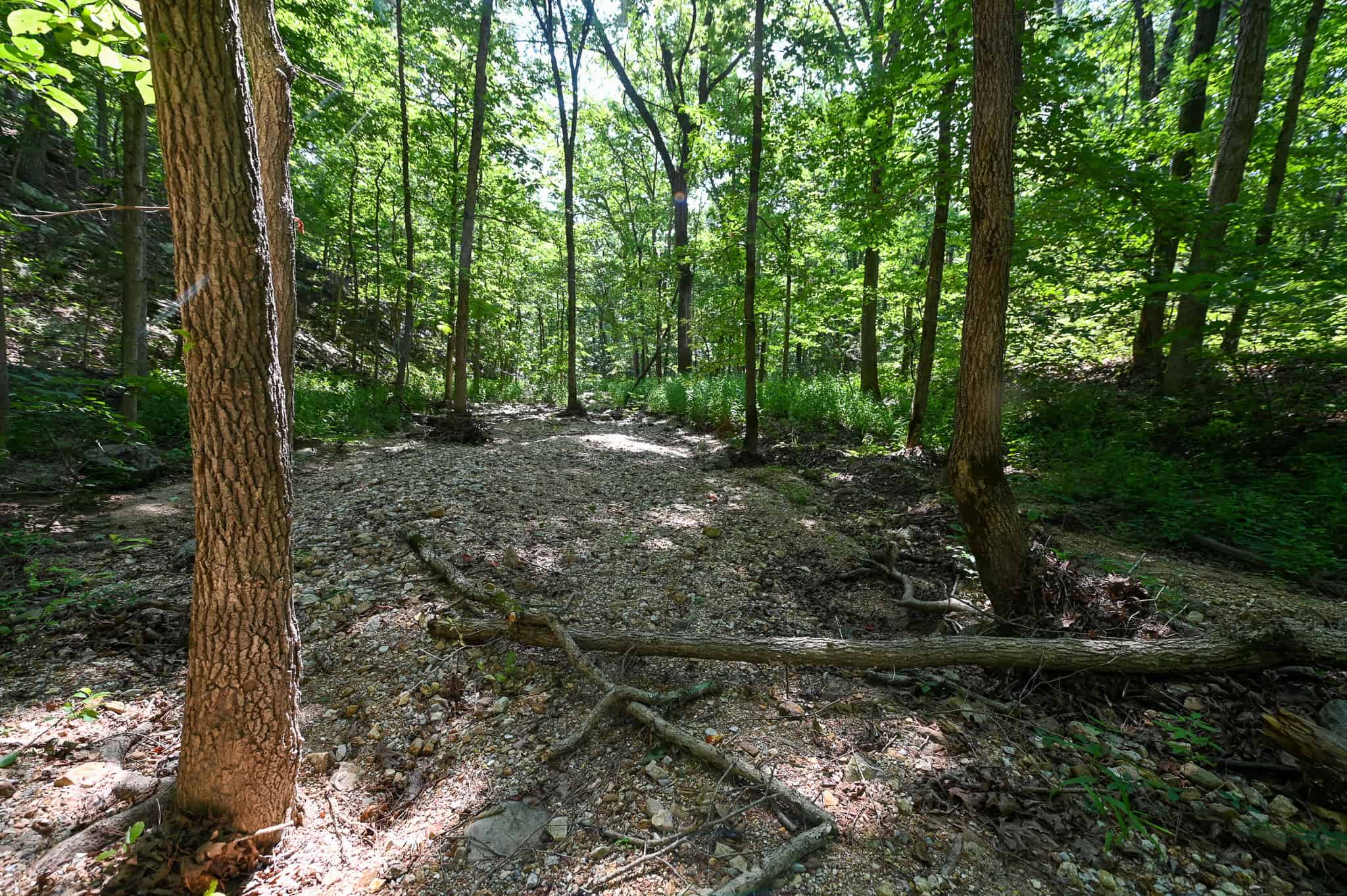 Hunting Land For Sale Texas County MO