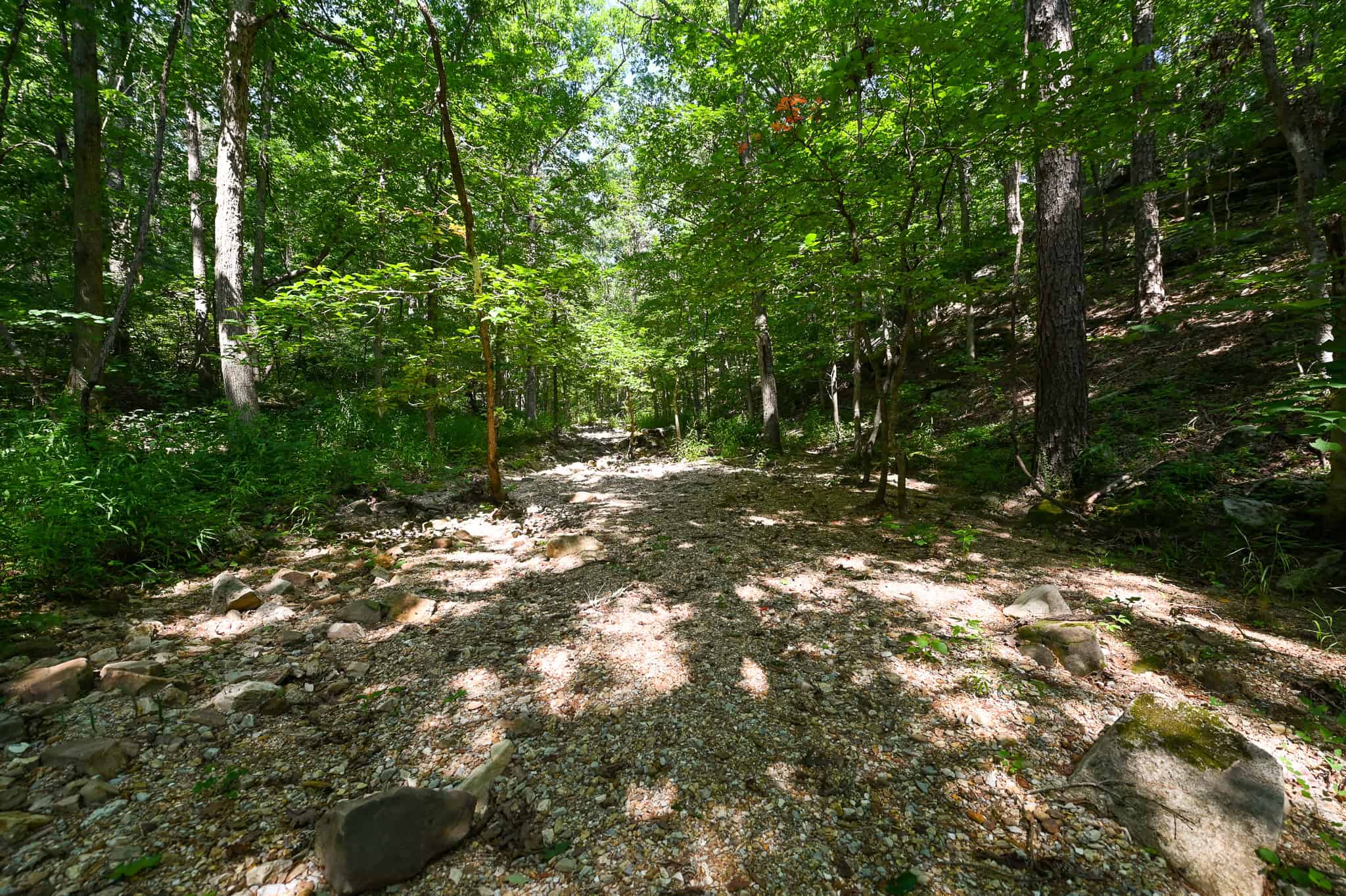 Hunting Land For Sale Texas County MO