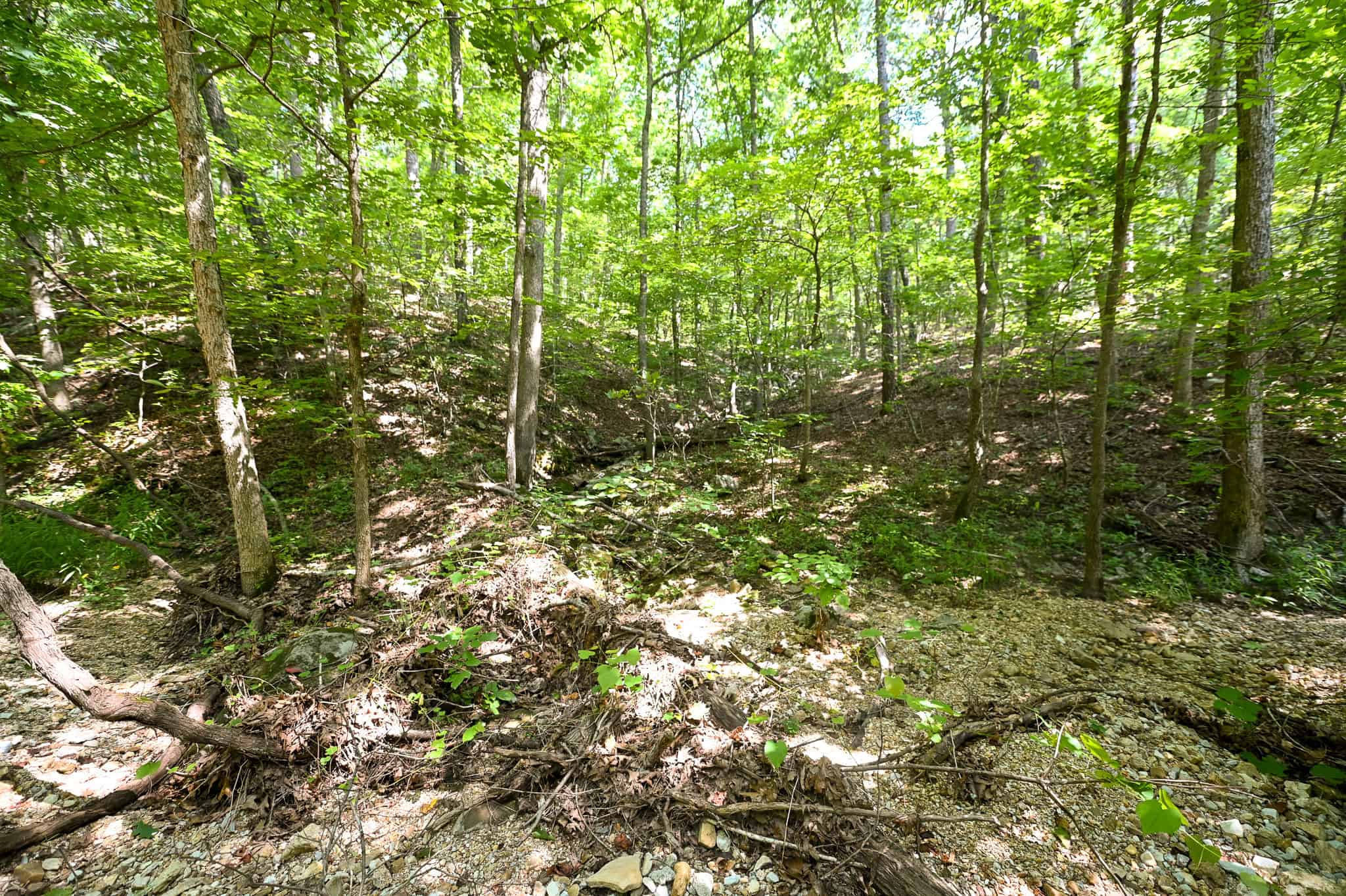 Hunting Land For Sale Texas County MO