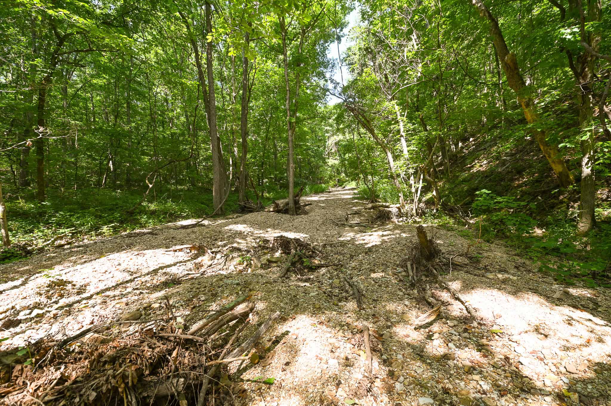 Hunting Land For Sale Texas County MO
