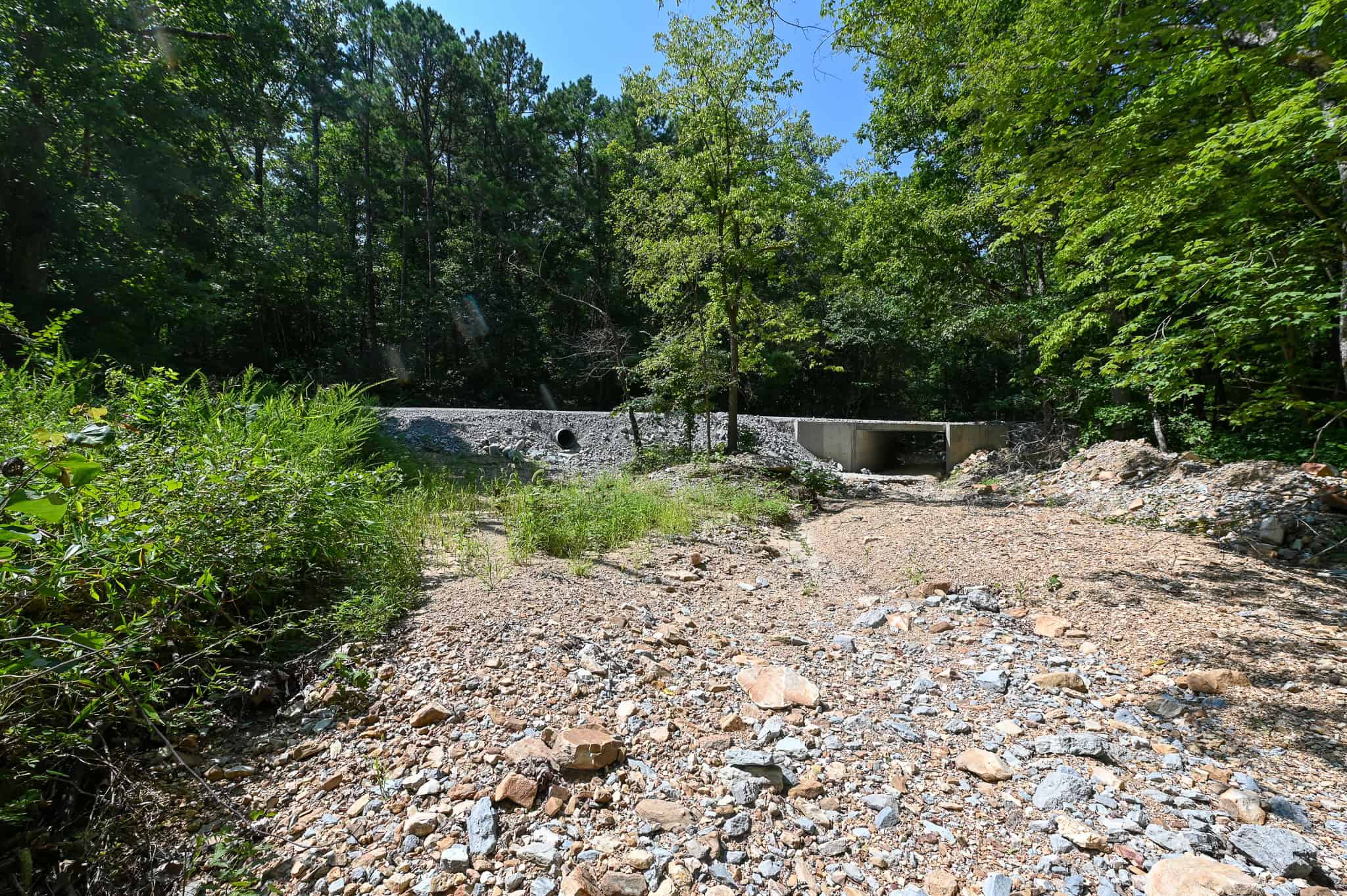 Hunting Land For Sale Texas County MO
