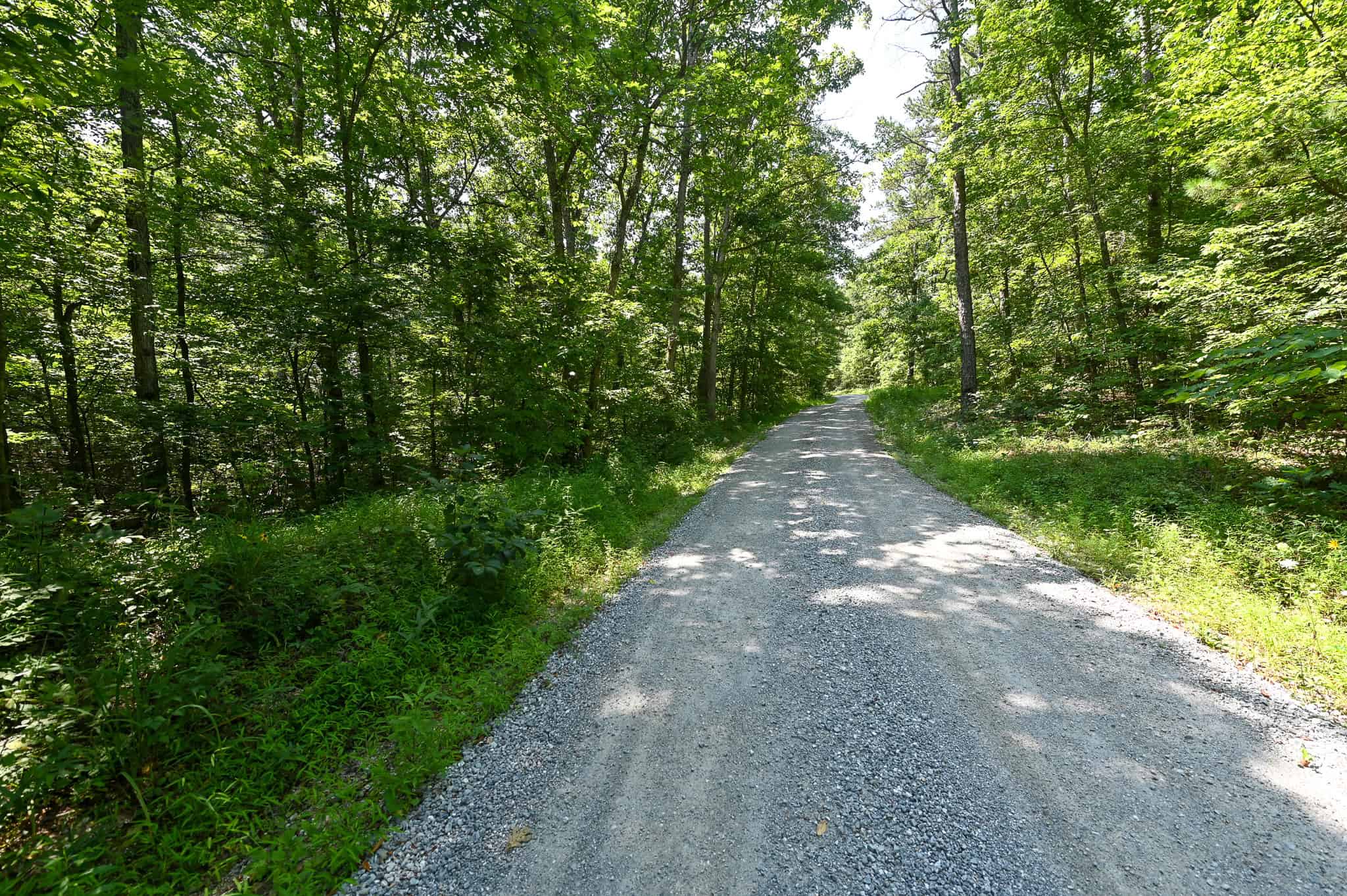 Hunting Land For Sale Texas County MO