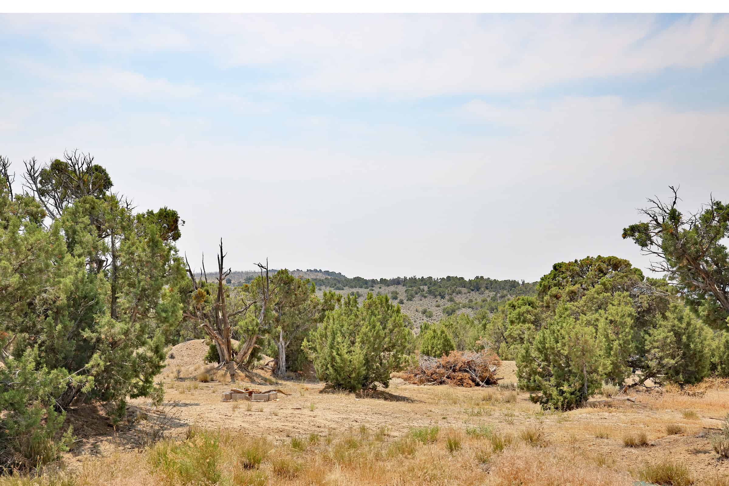 Cabin on 71 Acres in DeBeque Colorado