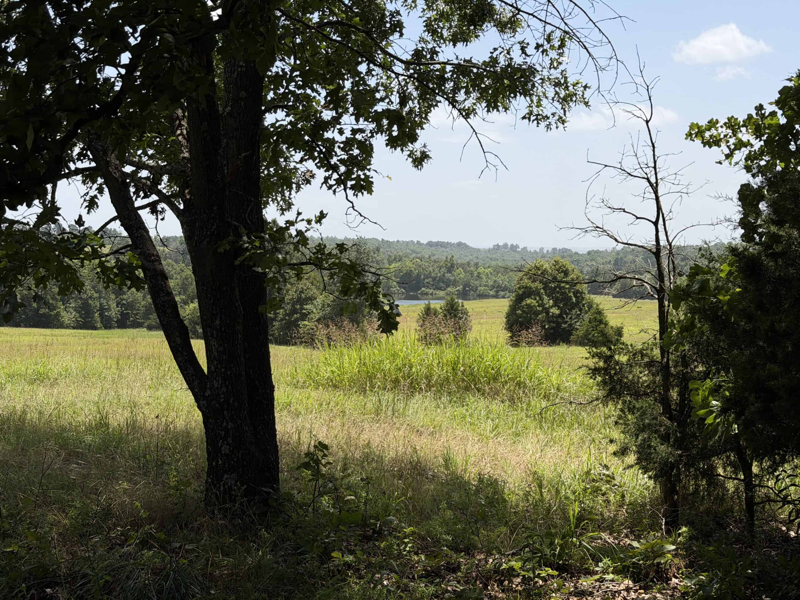 128-Acre Hunting & Recreational Property for Sale in the Missouri Ozarks
