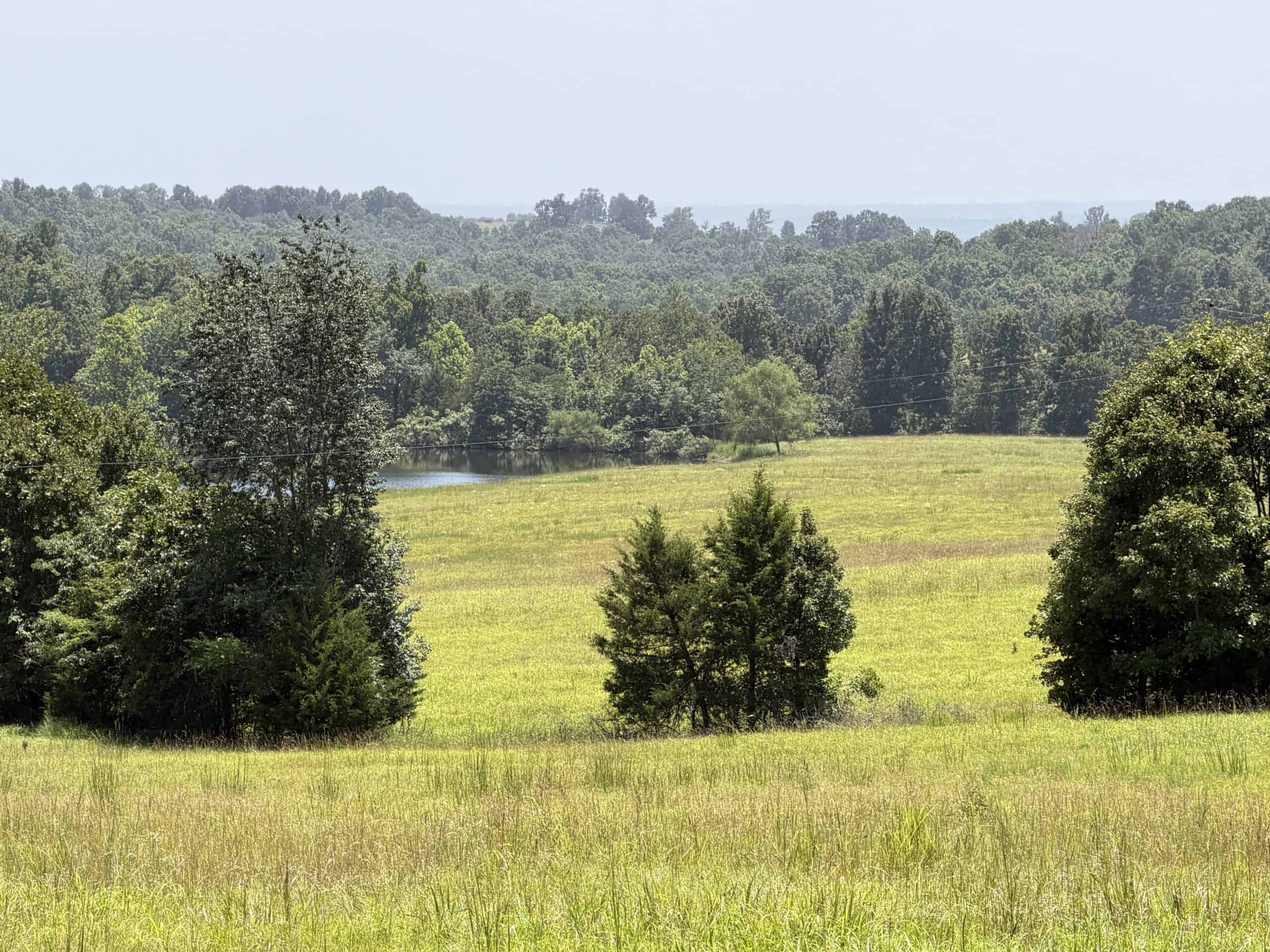 128-Acre Hunting & Recreational Property for Sale in the Missouri Ozarks