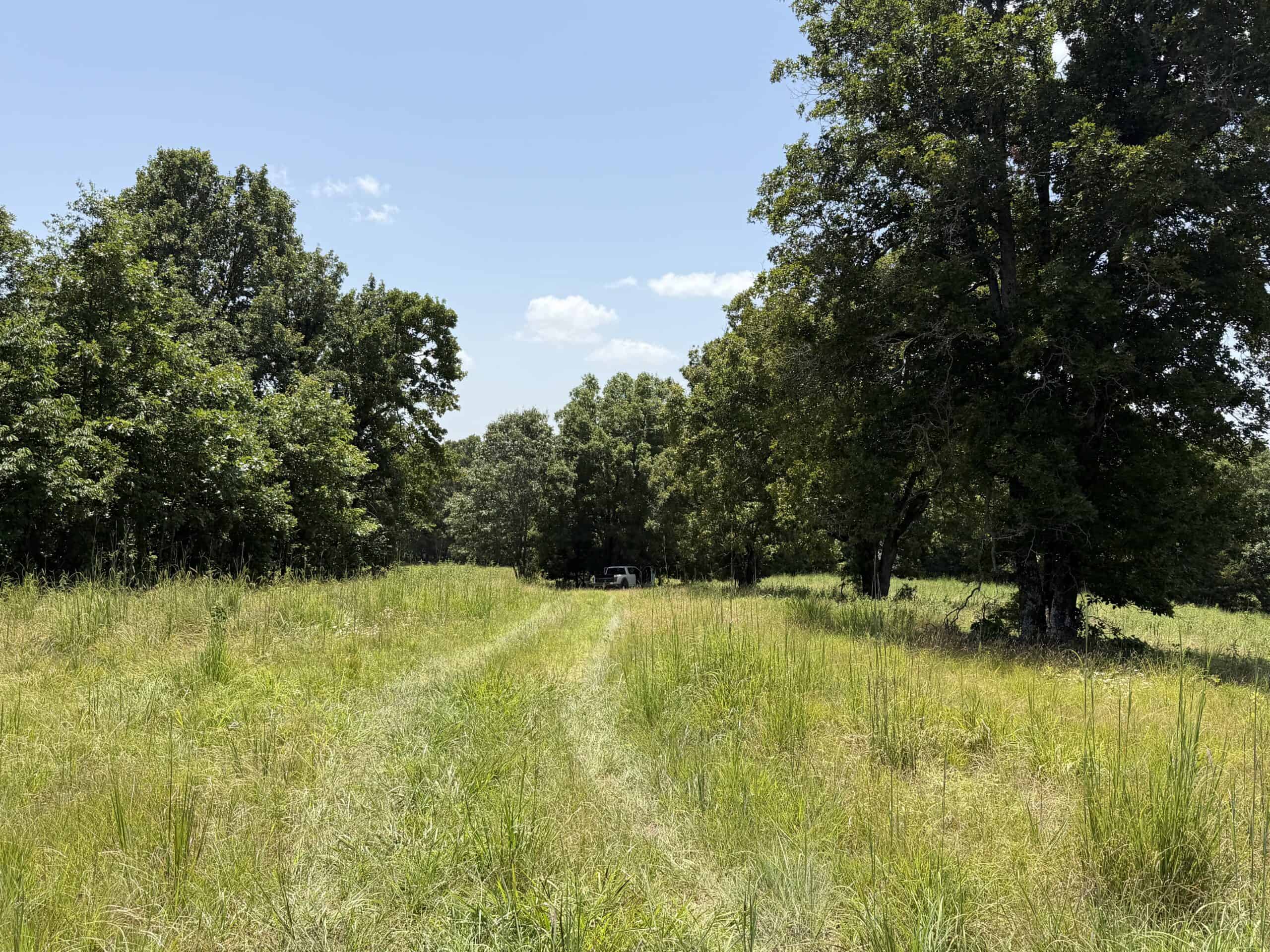 128-Acre Hunting & Recreational Property for Sale in the Missouri Ozarks