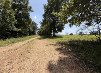 128-Acre Hunting & Recreational Property for Sale in the Missouri Ozarks