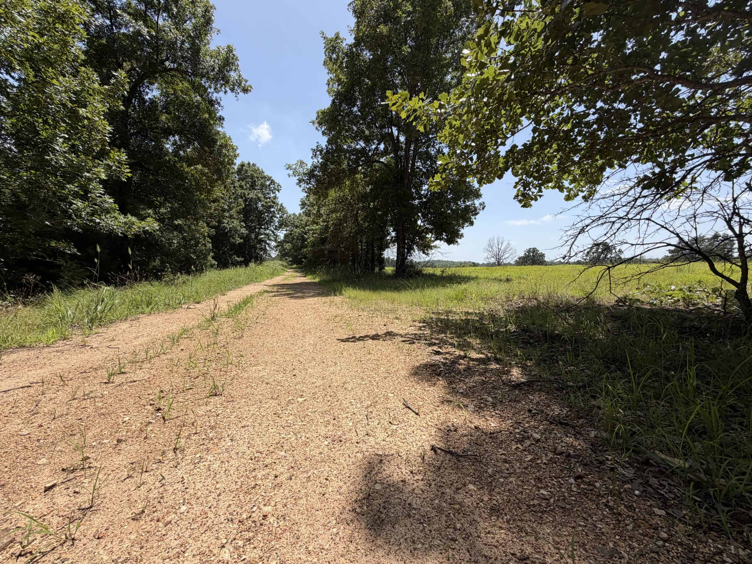 128-Acre Hunting & Recreational Property for Sale in the Missouri Ozarks
