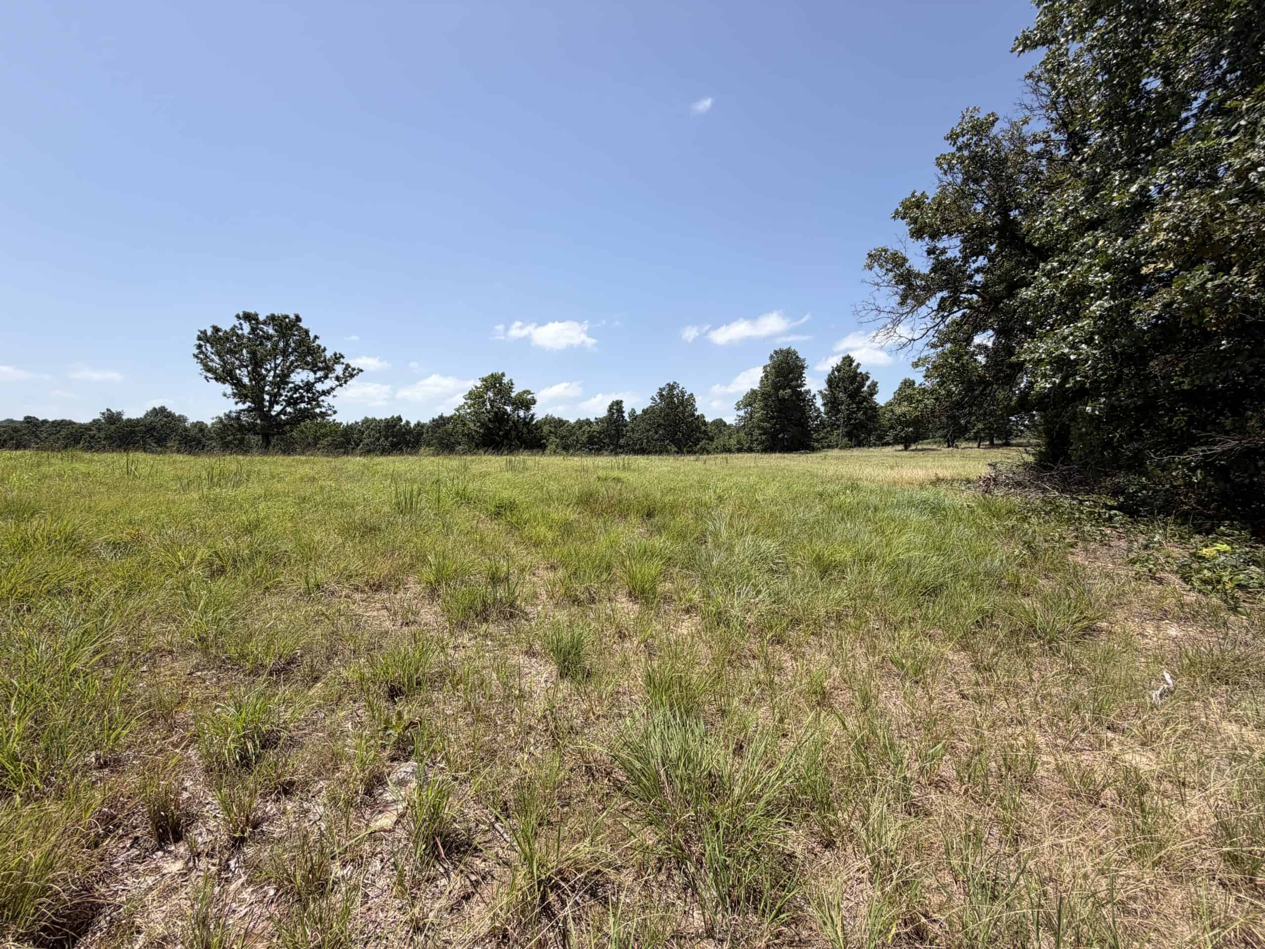 128-Acre Hunting & Recreational Property for Sale in the Missouri Ozarks