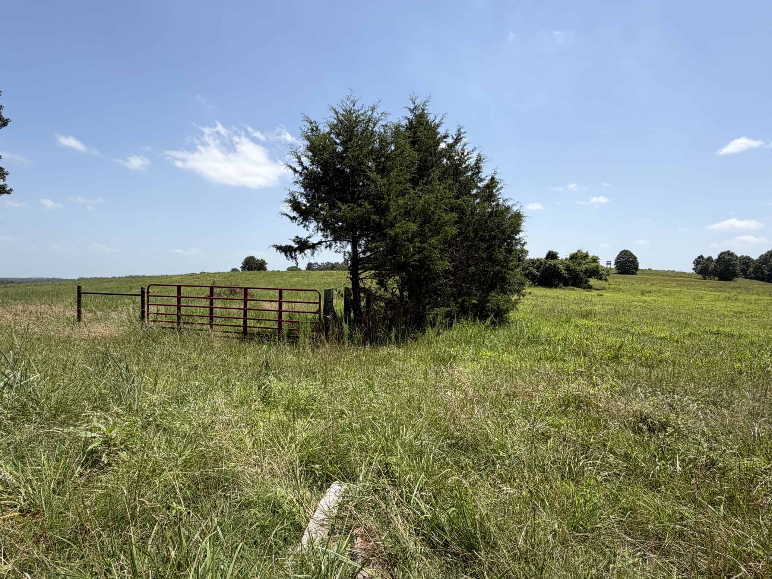 128-Acre Hunting & Recreational Property for Sale in the Missouri Ozarks