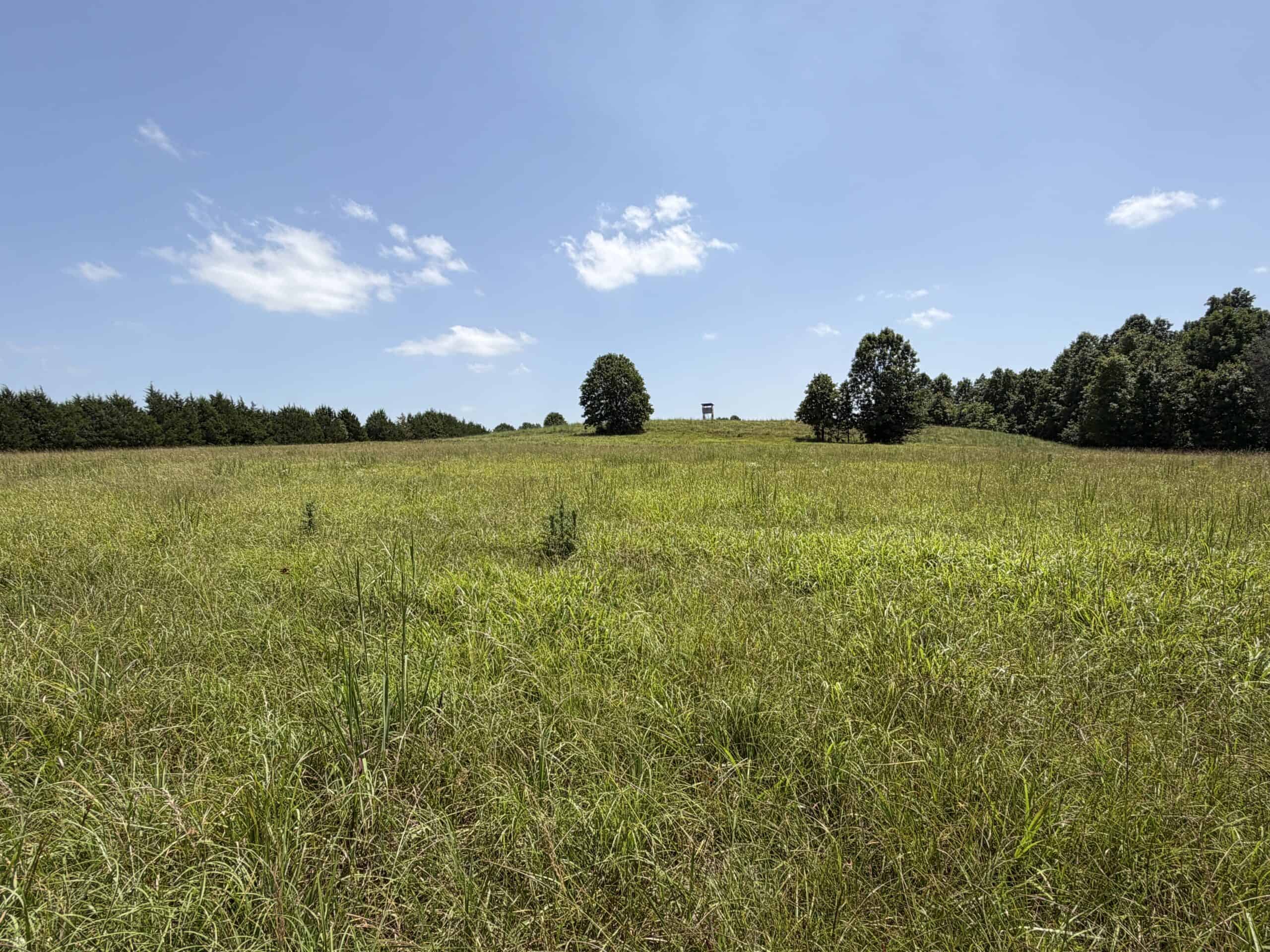 128-Acre Hunting & Recreational Property for Sale in the Missouri Ozarks