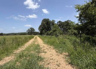 128-Acre Hunting & Recreational Property for Sale in the Missouri Ozarks