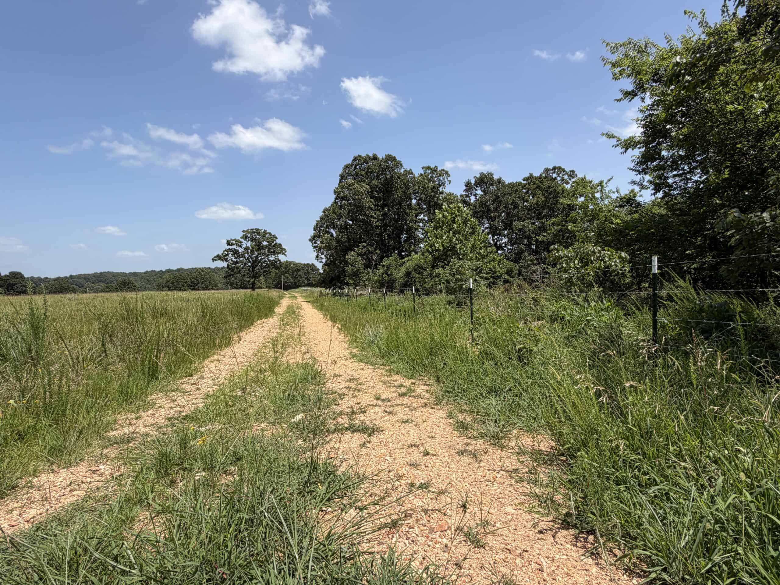 128-Acre Hunting & Recreational Property for Sale in the Missouri Ozarks