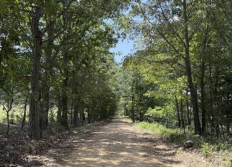 128-Acre Hunting & Recreational Property for Sale in the Missouri Ozarks