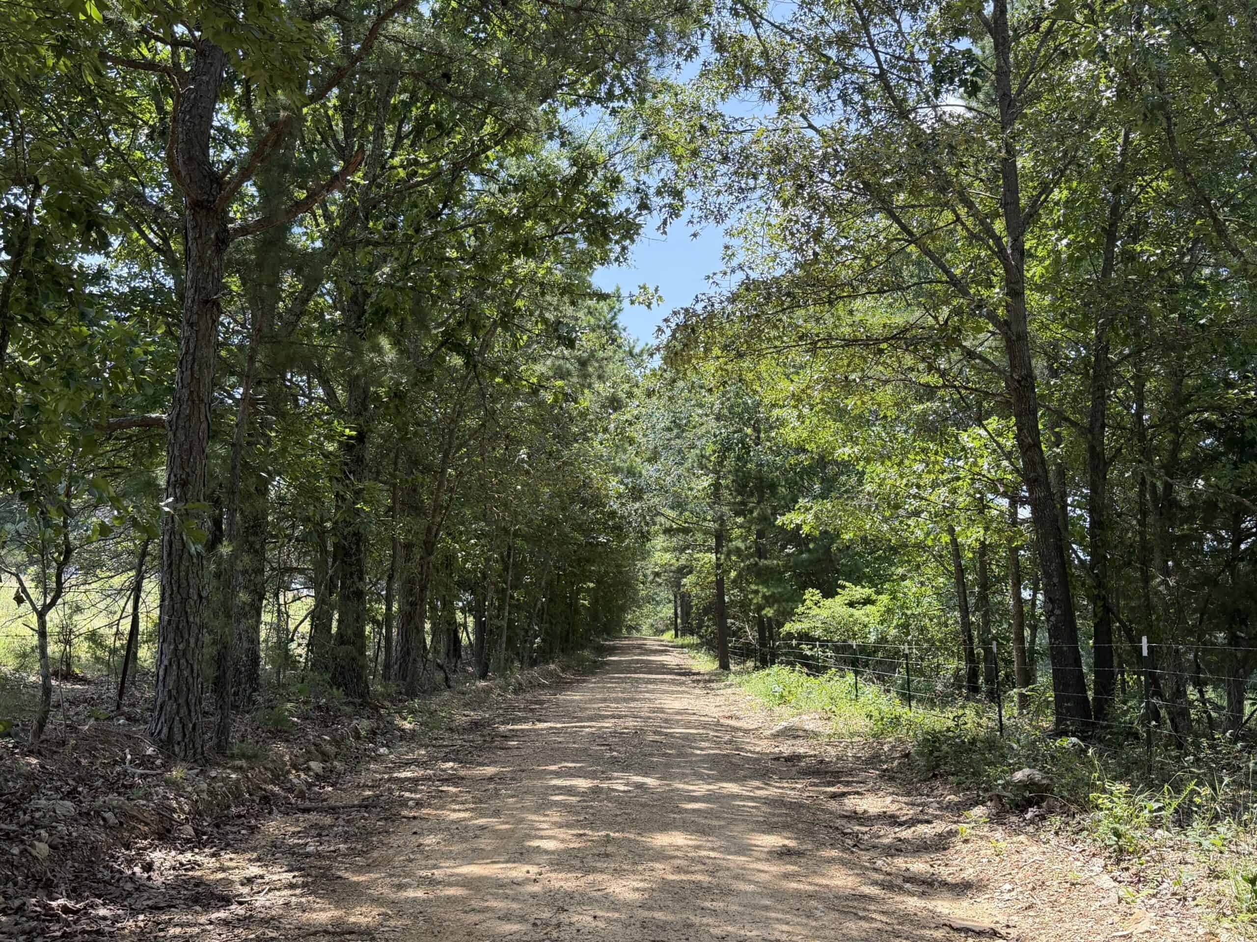 128-Acre Hunting & Recreational Property for Sale in the Missouri Ozarks