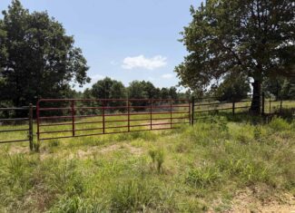 LAND FOR SALE IN NORTH CENTRAL ARKANSAS