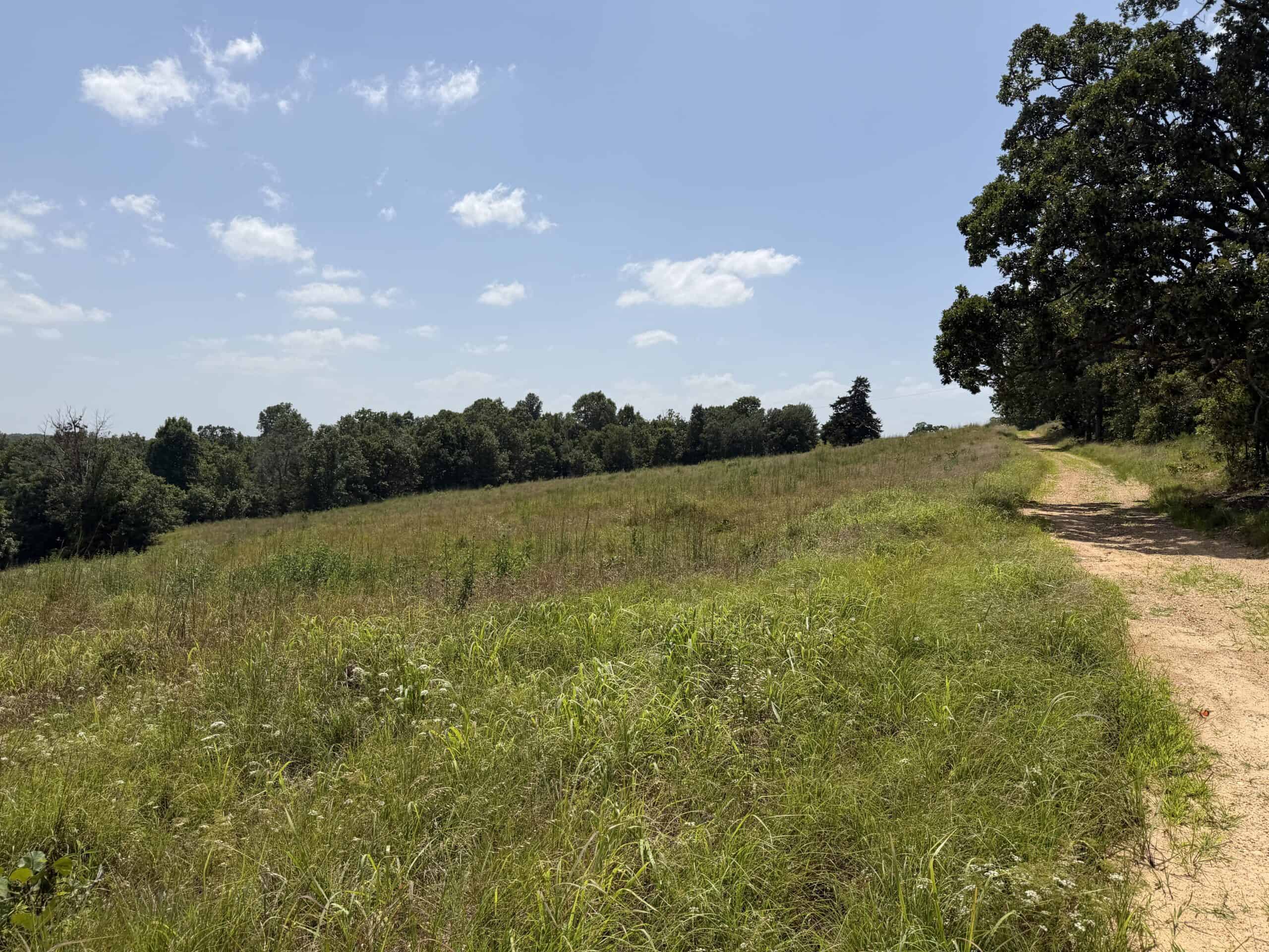 LAND FOR SALE IN NORTH CENTRAL ARKANSAS
