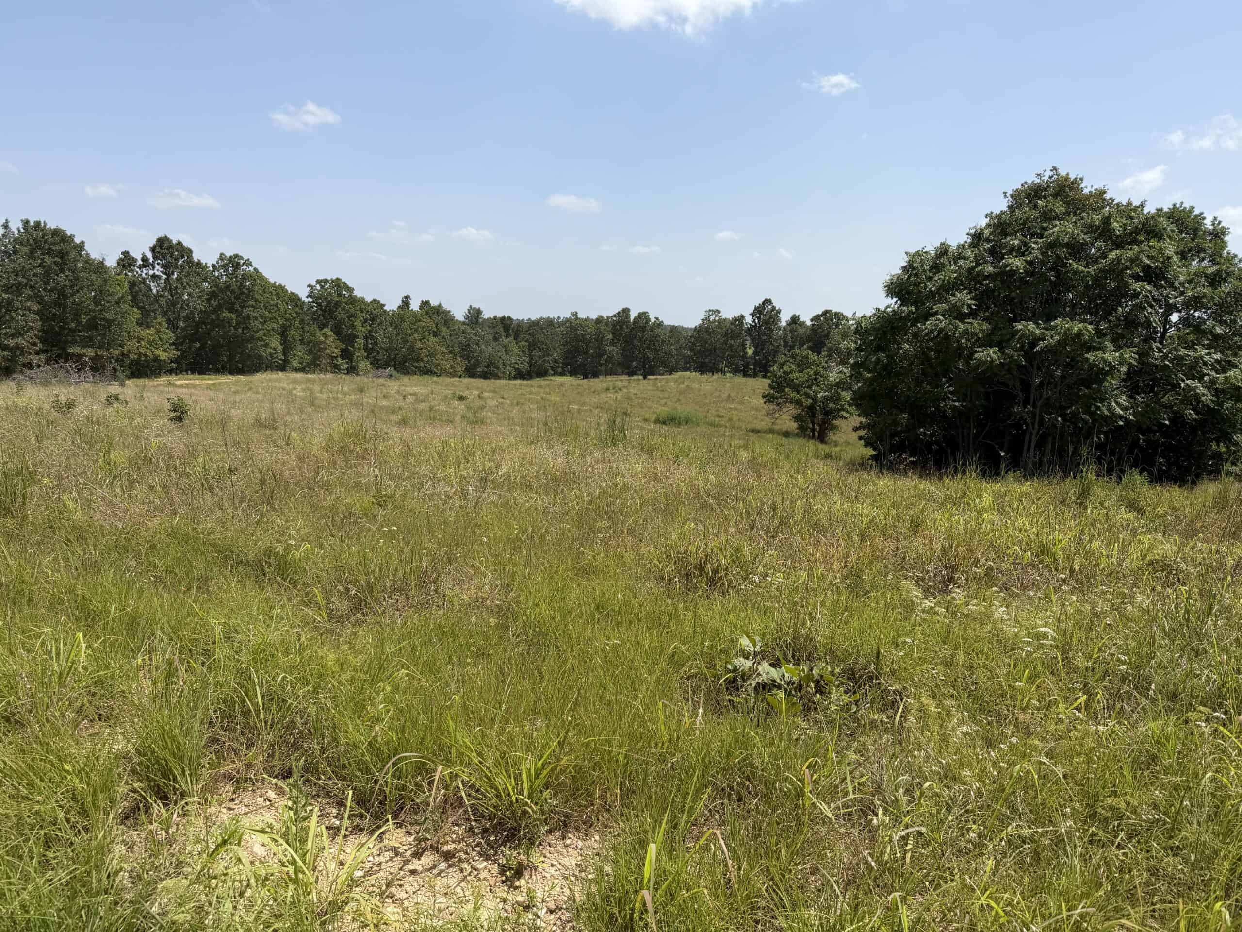 LAND FOR SALE IN NORTH CENTRAL ARKANSAS