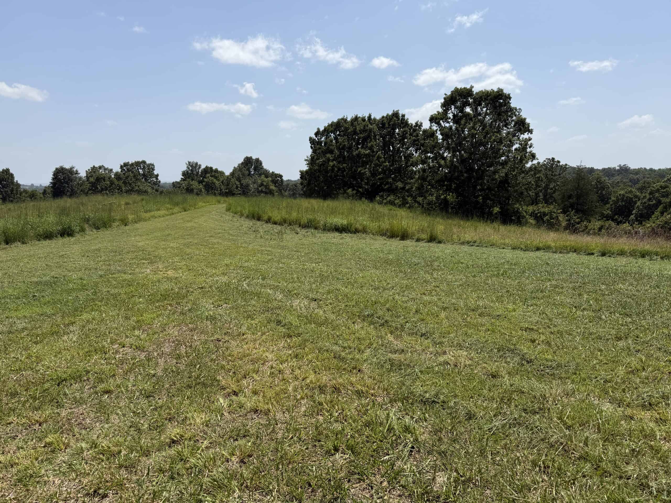 LAND FOR SALE IN NORTH CENTRAL ARKANSAS