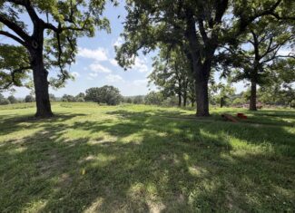 LAND FOR SALE IN NORTH CENTRAL ARKANSAS