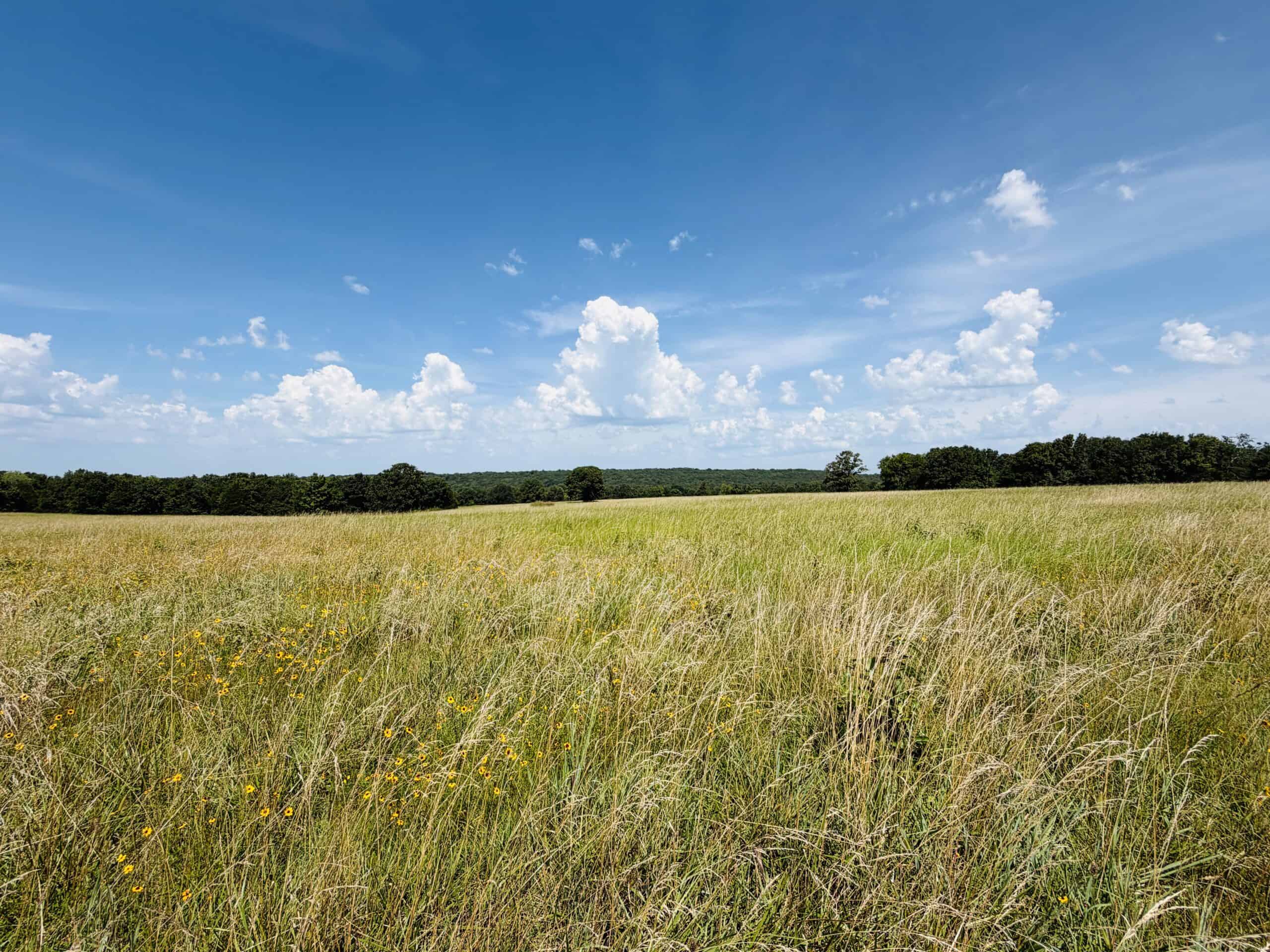 LIVESTOCK FARM AND HUNTING PROPERTY FOR SALE IN ARKANSAS