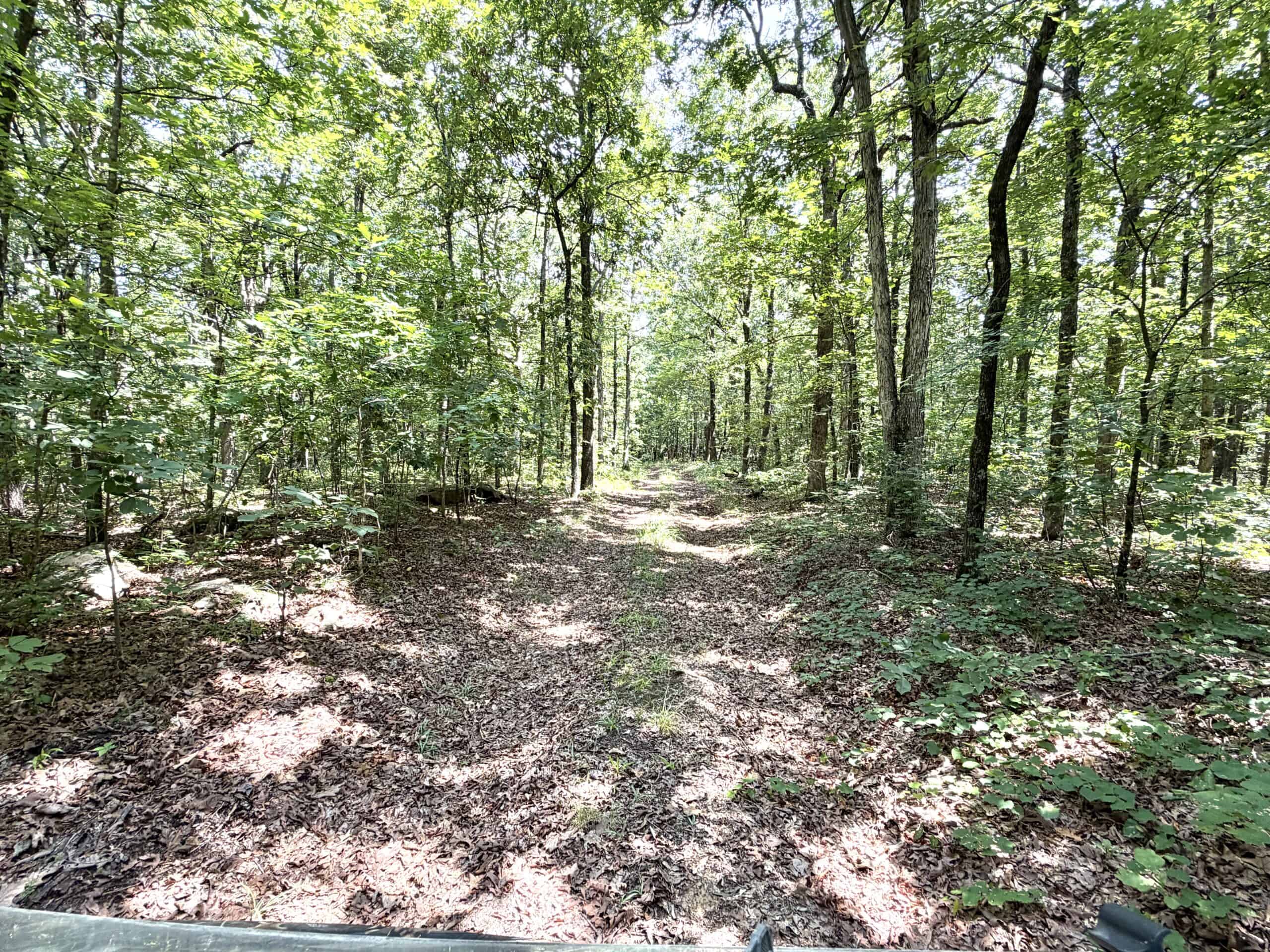 LIVESTOCK FARM AND HUNTING PROPERTY FOR SALE IN ARKANSAS