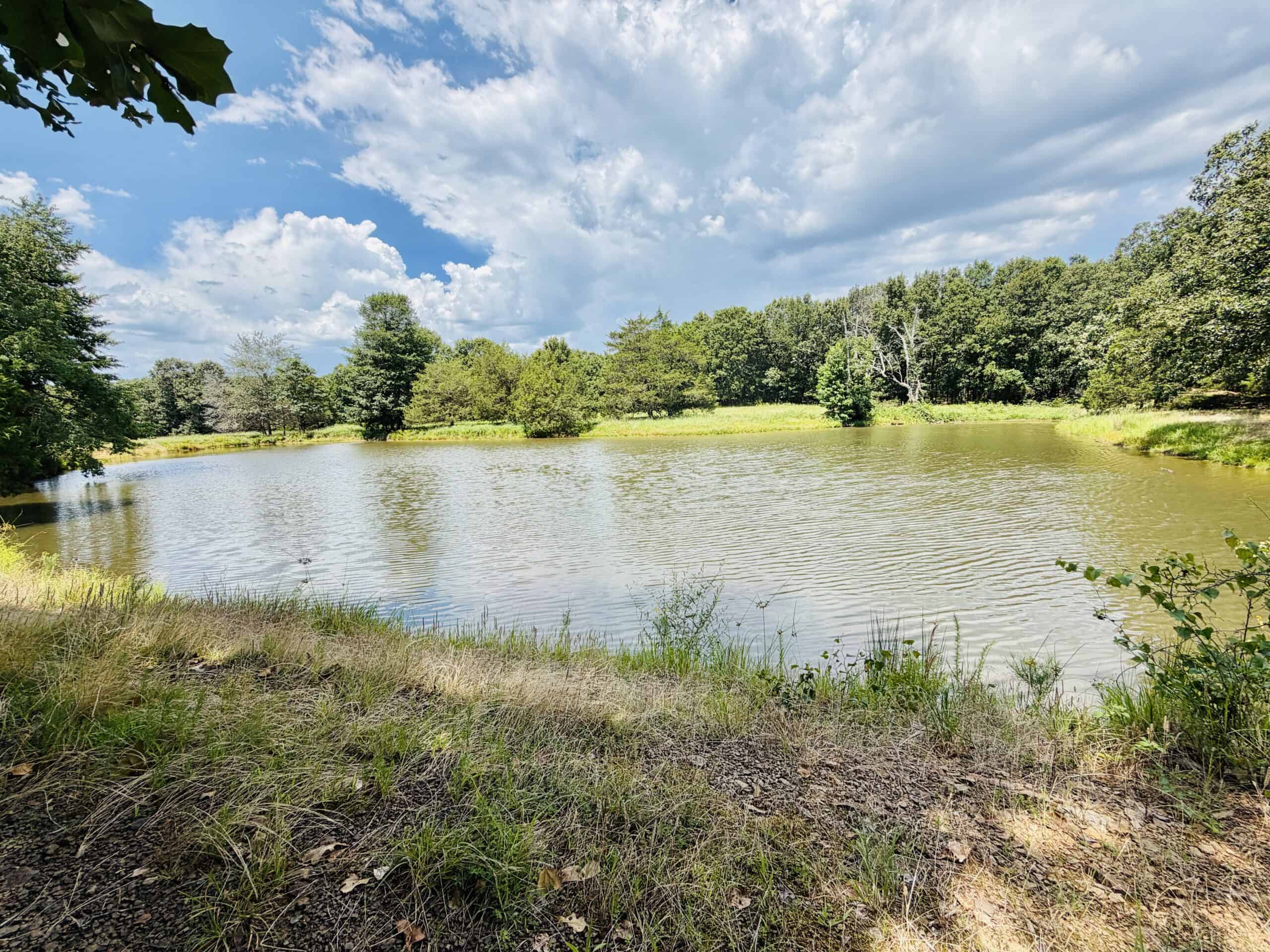 LIVESTOCK FARM AND HUNTING PROPERTY FOR SALE IN ARKANSAS