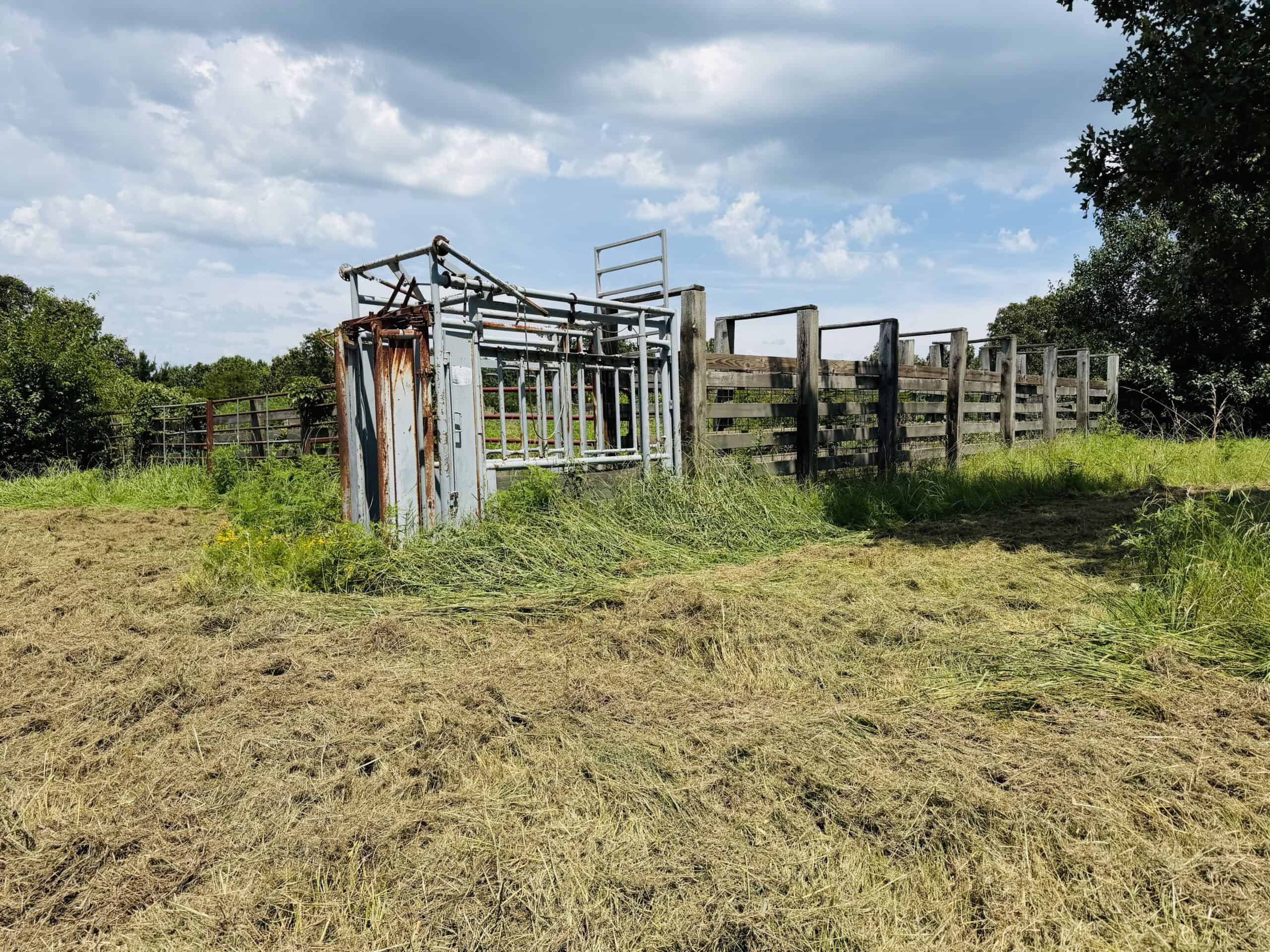 LIVESTOCK FARM AND HUNTING PROPERTY FOR SALE IN ARKANSAS