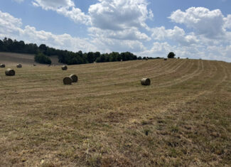 128-Acre Hunting & Recreational Property for Sale in the Missouri Ozarks