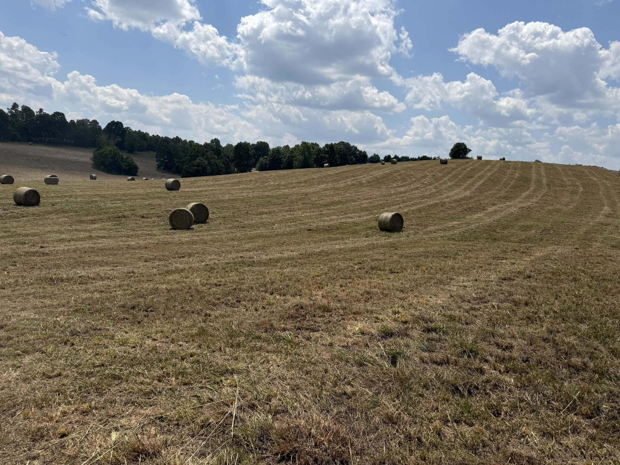 128-Acre Hunting & Recreational Property for Sale in the Missouri Ozarks
