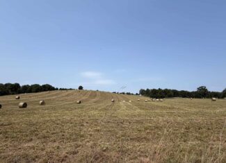 128-Acre Hunting & Recreational Property for Sale in the Missouri Ozarks