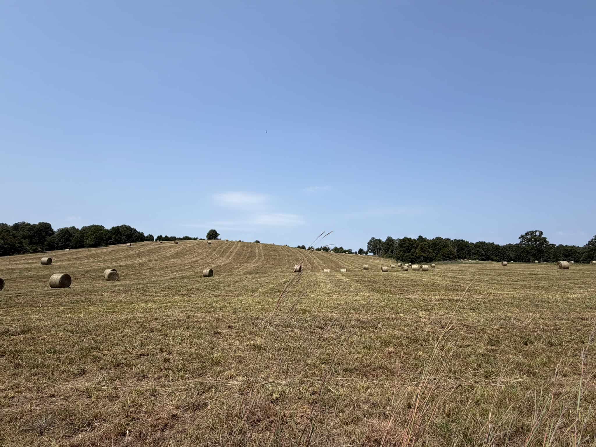 128-Acre Hunting & Recreational Property for Sale in the Missouri Ozarks