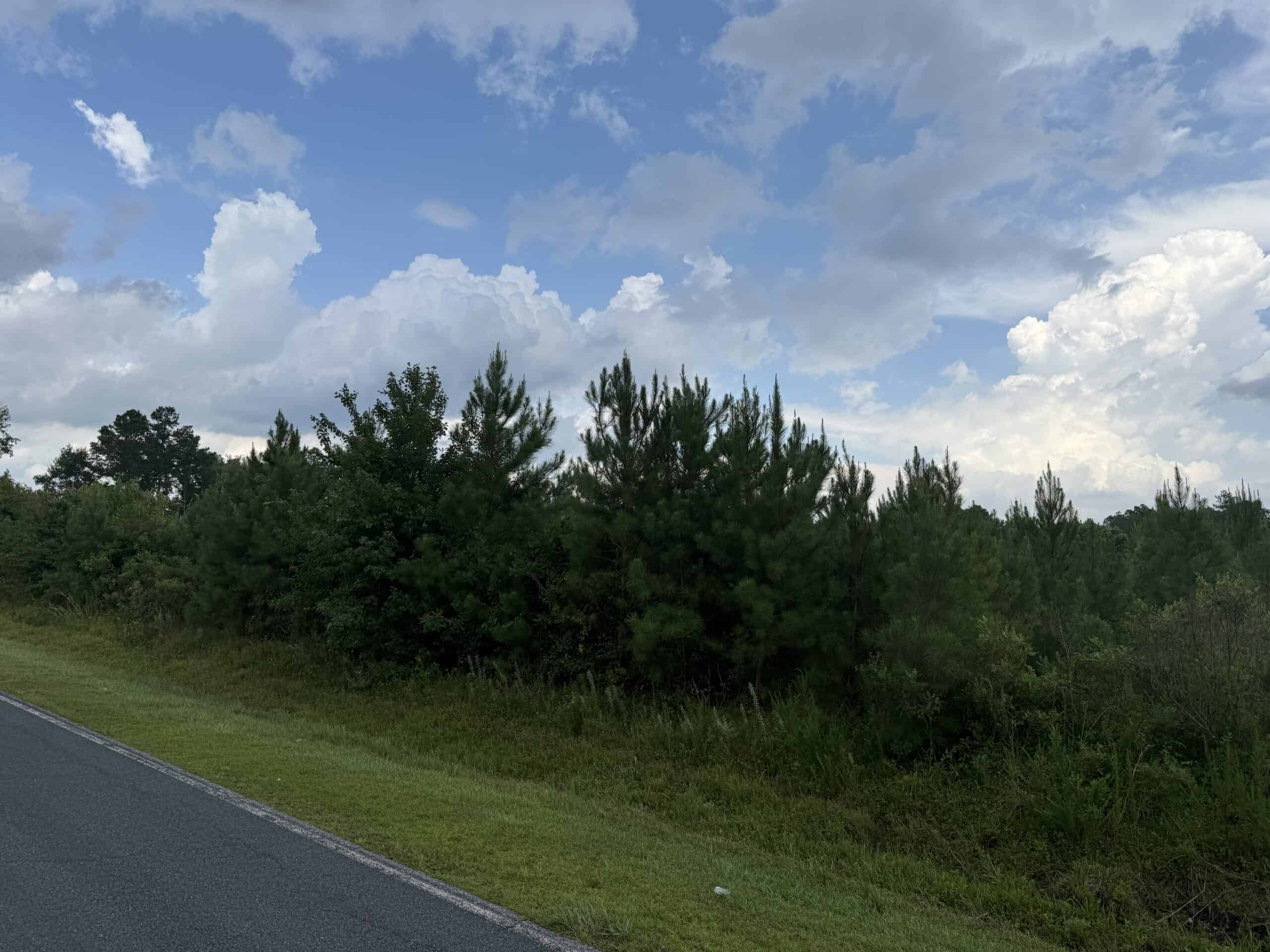 115 Acres of Hunting & Timberland for Sale in NC