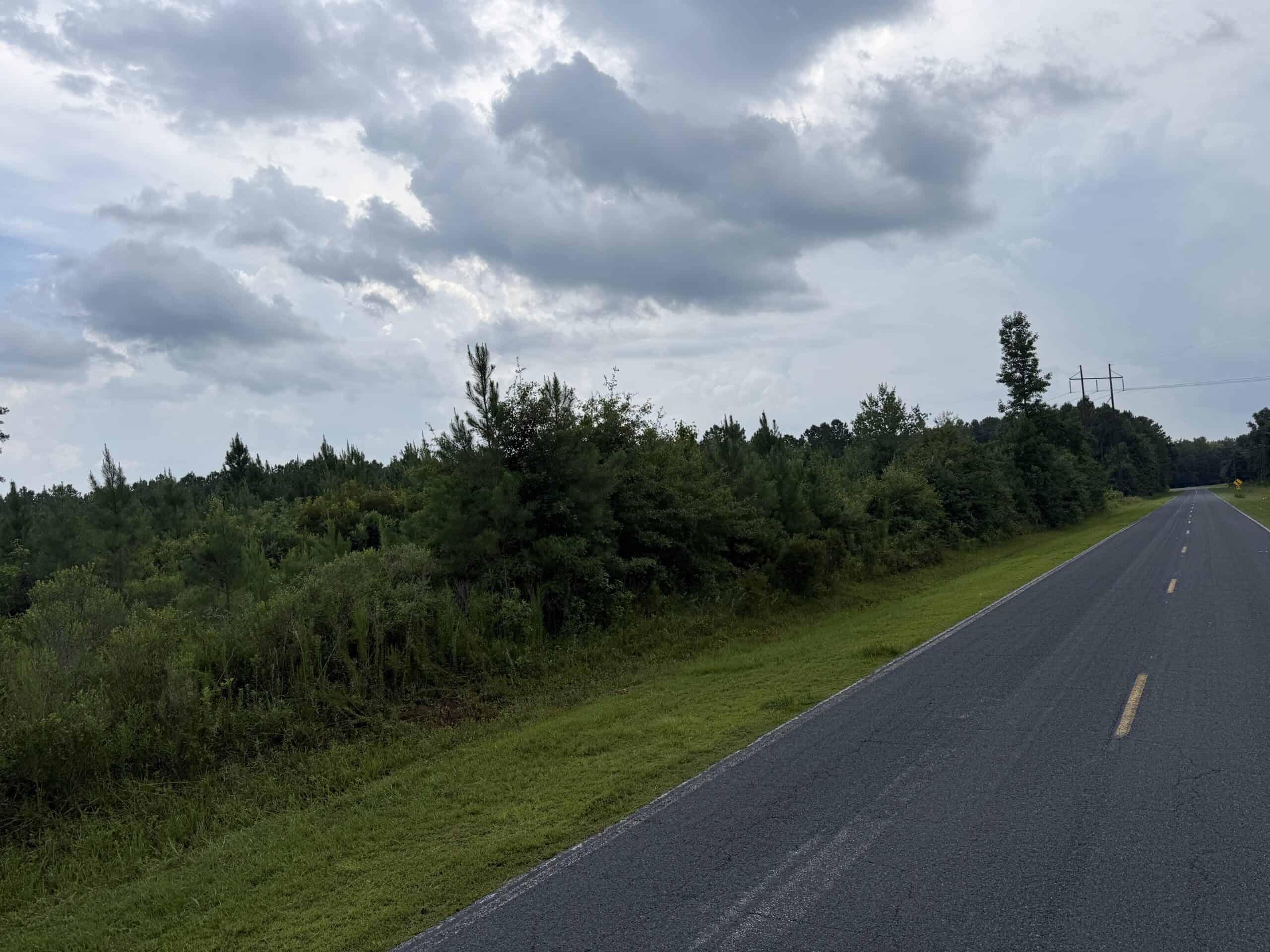 115 Acres of Hunting & Timberland for Sale in NC